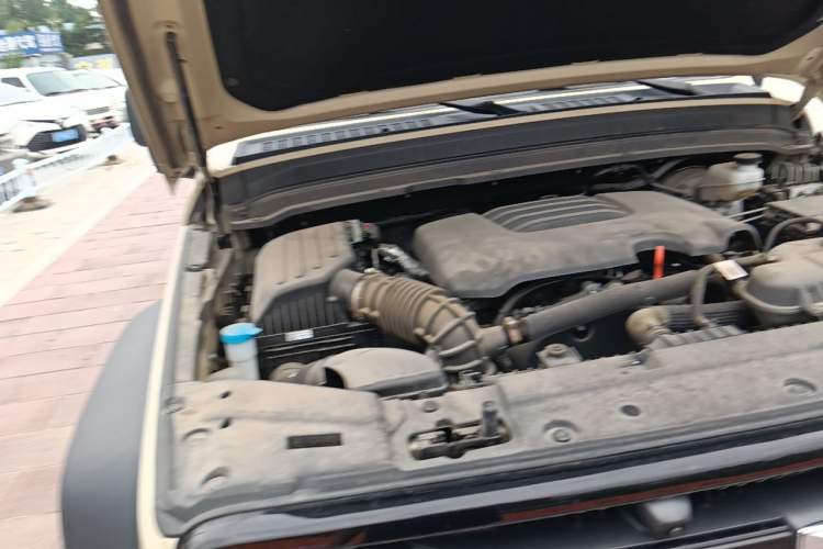 Used Tank 300 2025 Model, 2.0T Gasoline Polar Edition Engine Bay Right