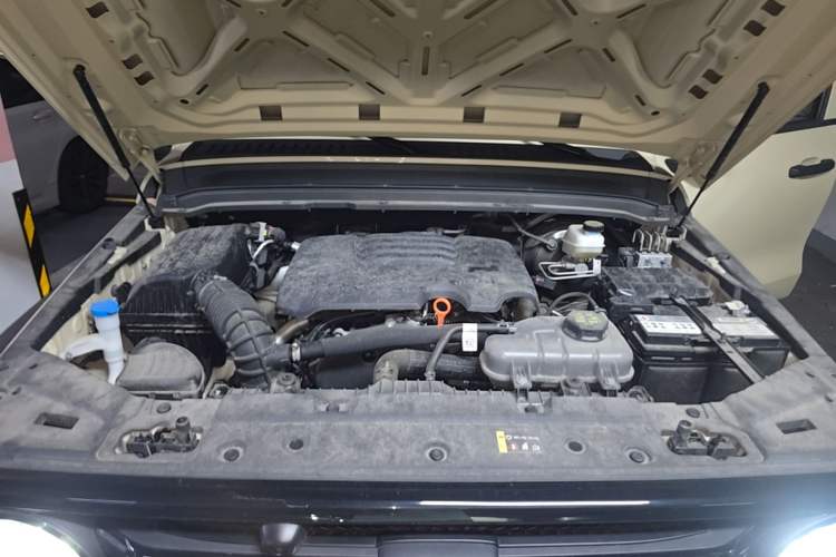 Used Tank 300 2025 2.0T Conqueror Engine Bay