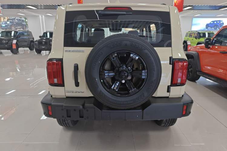 Used Tank 300 2025 2.0T Conqueror Exterior 4