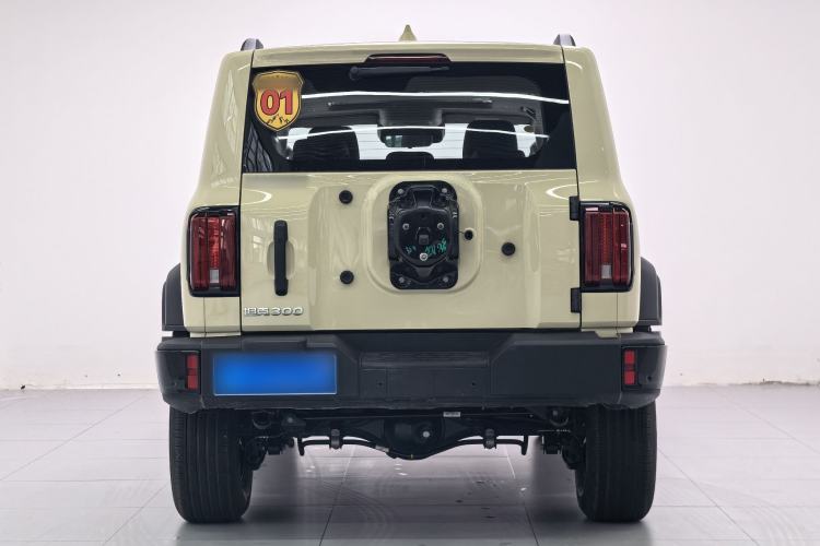Used Tank 300 2025 2.0T Conqueror Exterior 4