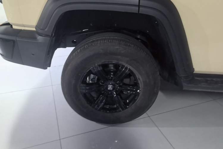 Used Tank 300 2025 2.0T Conqueror Exterior 5