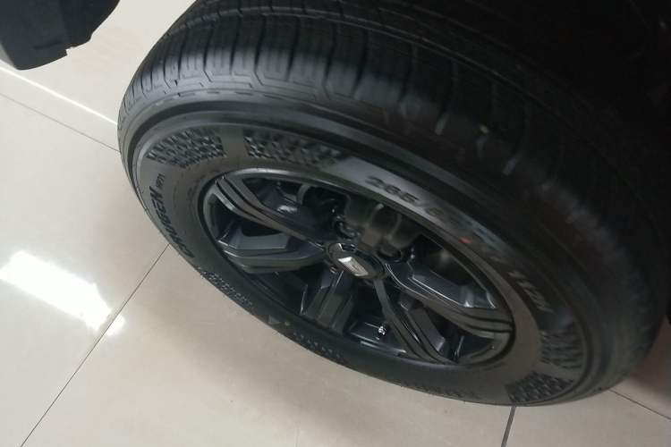 Used Tank 300 2025 2.0T Conqueror Exterior 5