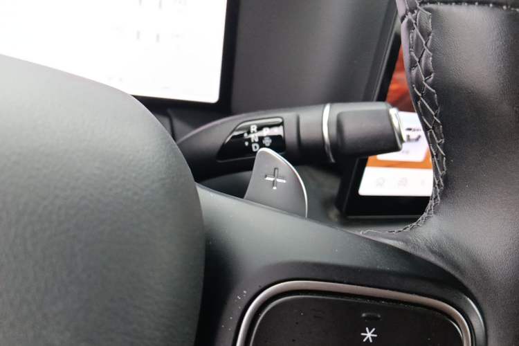 Used Tank 300 2025 Model, 2.0T Gasoline Polar Edition Gear Lever