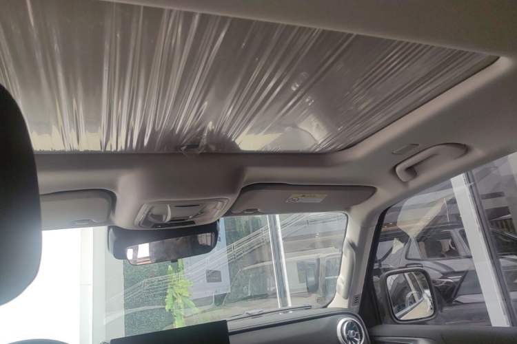 Used Tank 300 2025 2.0T Conqueror Headliner
