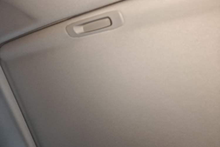 Used Tank 300 2025 2.0T Conqueror Headliner
