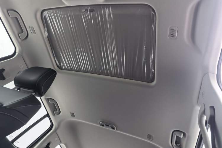 Used Tank 300 2025 2.0T Conqueror Headliner