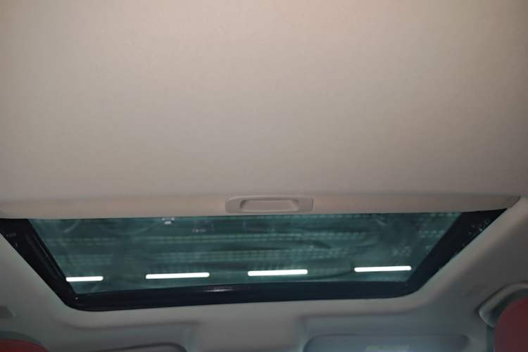 Used Tank 300 2025 2.4T Diesel Version Headliner