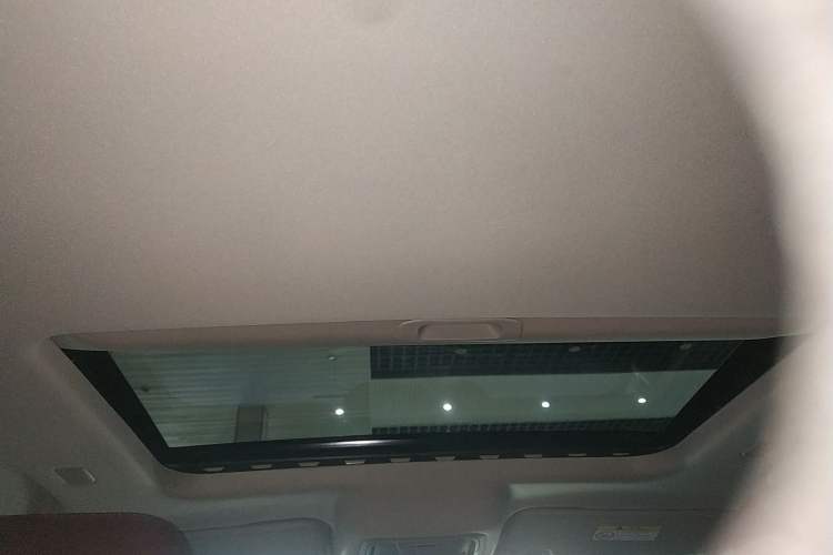 Used Tank 300 2025 2.4T Diesel Version Headliner