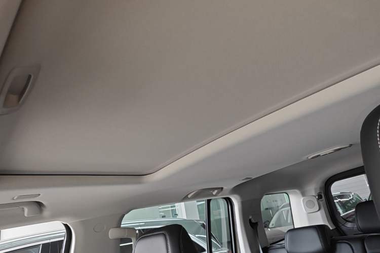 Used Tank 300 2025 2.0T Conqueror Headliner