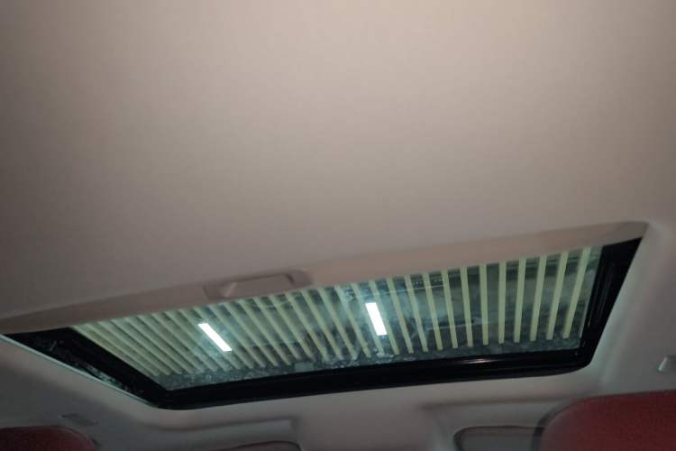 Used Tank 300 2025 2.4T Diesel Version Headliner
