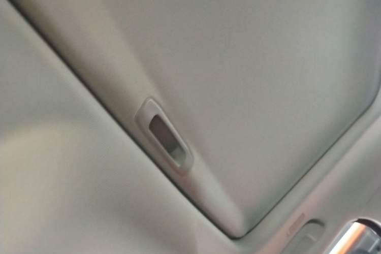 Used Tank 300 2025 2.0T Conqueror Headliner