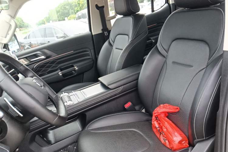 Used Tank 300 2025 Model, 2.0T Gasoline Polar Edition Left Front Seat