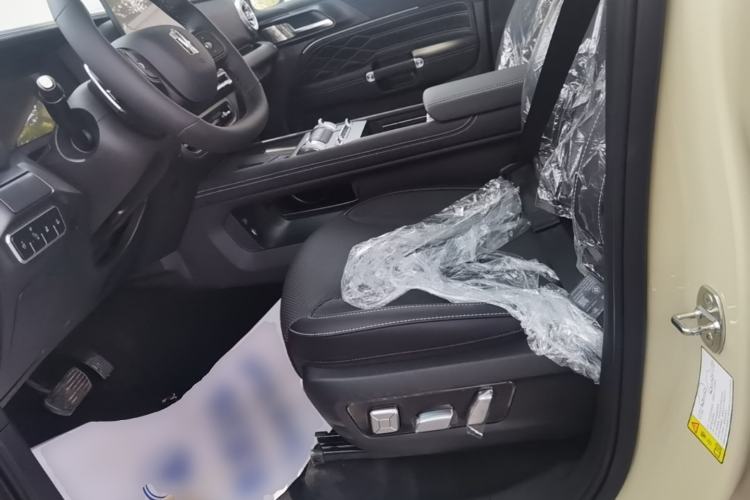 Used Tank 300 2025 2.0T Conqueror Left Front Seat