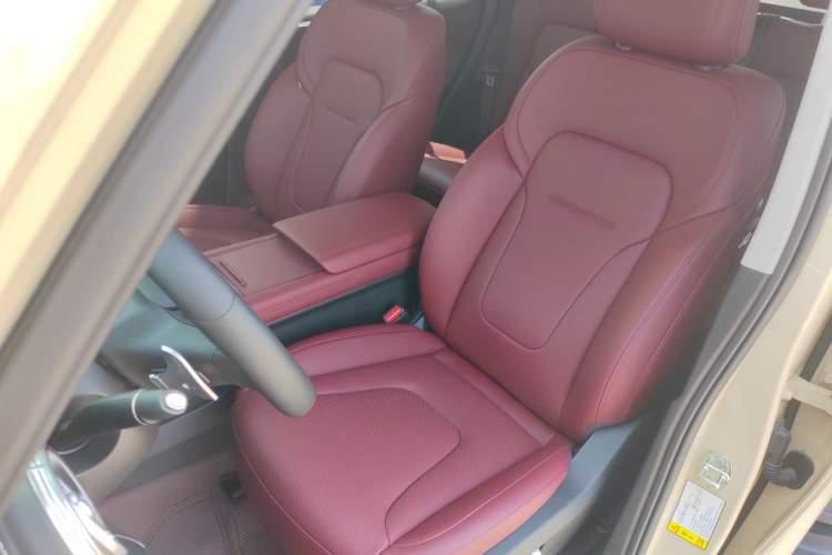 Used Tank 300 2025 2.0T Conqueror Left Front Seat
