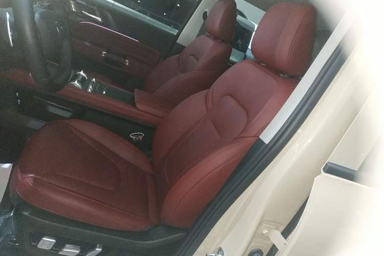 Used Tank 300 2025 2.4T Diesel Version Left Front Seat
