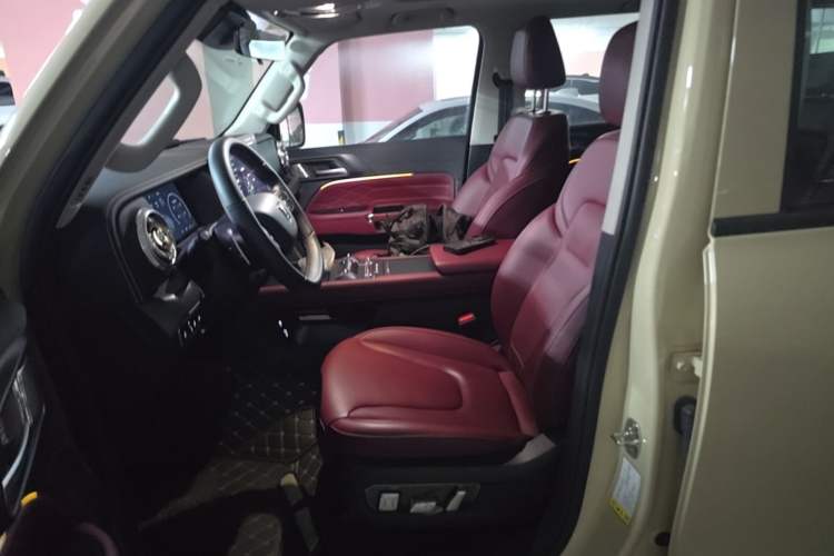 Used Tank 300 2025 2.0T Conqueror Left Front Seat