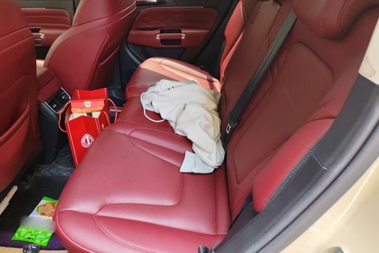Used Tank 300 2025 2.0T Conqueror Left Rear Seat