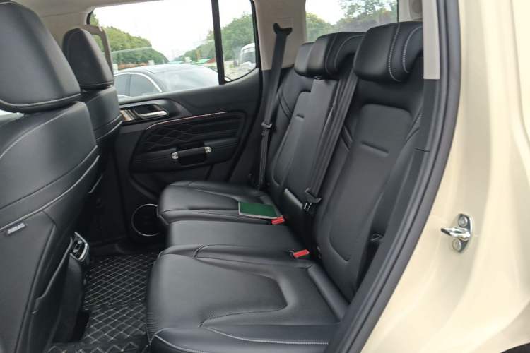 Used Tank 300 2025 Model, 2.0T Gasoline Polar Edition Left Rear Seat