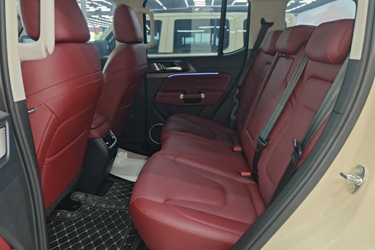 Used Tank 300 2025 2.4T Diesel Version Left Rear Seat