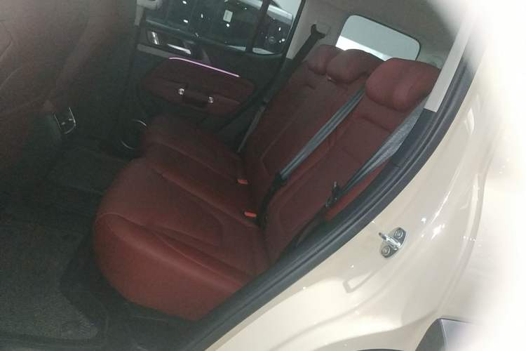 Used Tank 300 2025 2.4T Diesel Version Left Rear Seat