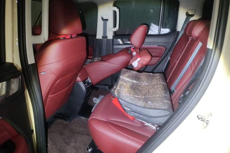 Used Tank 300 2025 2.4T Diesel Version Left Rear Seat