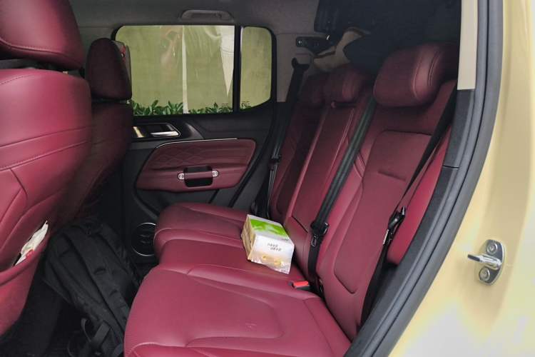 Used Tank 300 2025 2.4T Diesel Version Left Rear Seat