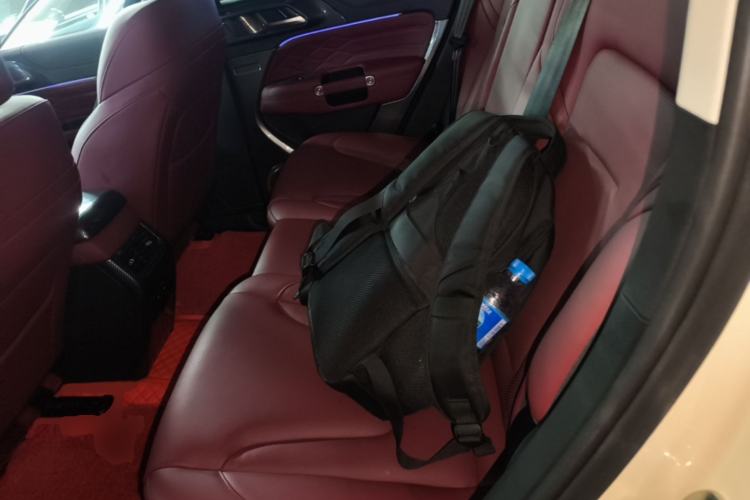 Used Tank 300 2025 2.0T Conqueror Left Rear Seat