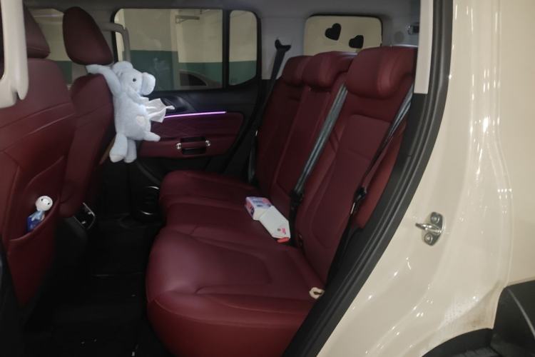 Used Tank 300 2025 2.0T Conqueror Left Rear Seat