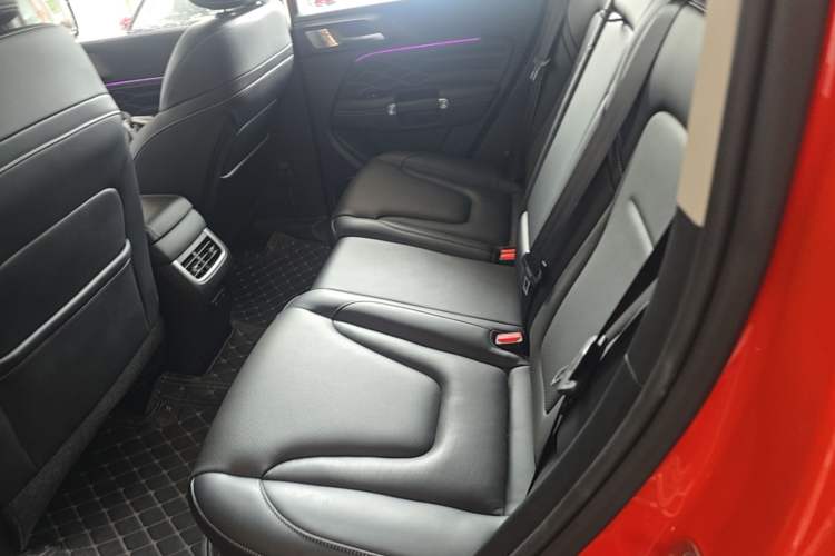 Used Tank 300 2025 2.0T Conqueror Left Rear Seat