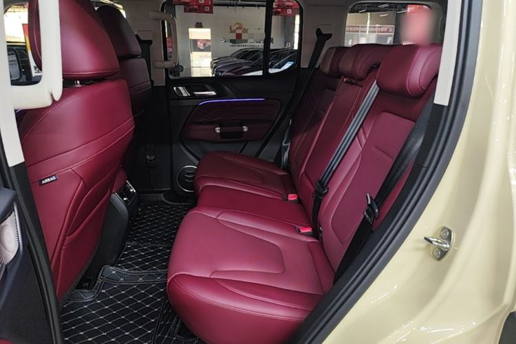Used Tank 300 2025 2.0T Conqueror Left Rear Seat