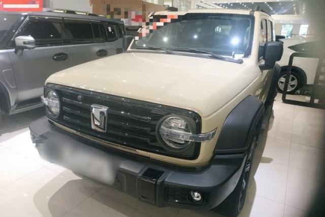 Used Tank 300 2025 2.4T Diesel Version