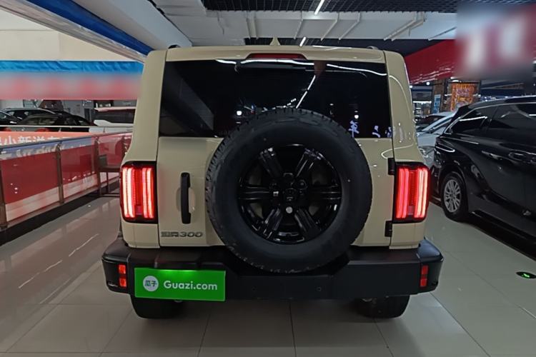Used Tank 300 2025 2.0T Conqueror Rear