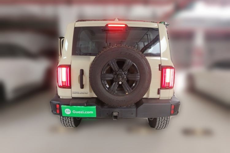 Used Tank 300 2025 2.0T Conqueror Rear