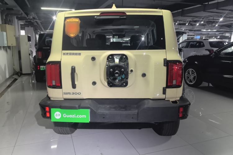 Used Tank 300 2025 2.0T Conqueror Rear