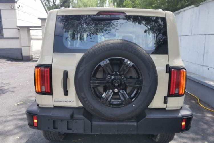 Used Tank 300 2025 2.0T Conqueror Rear