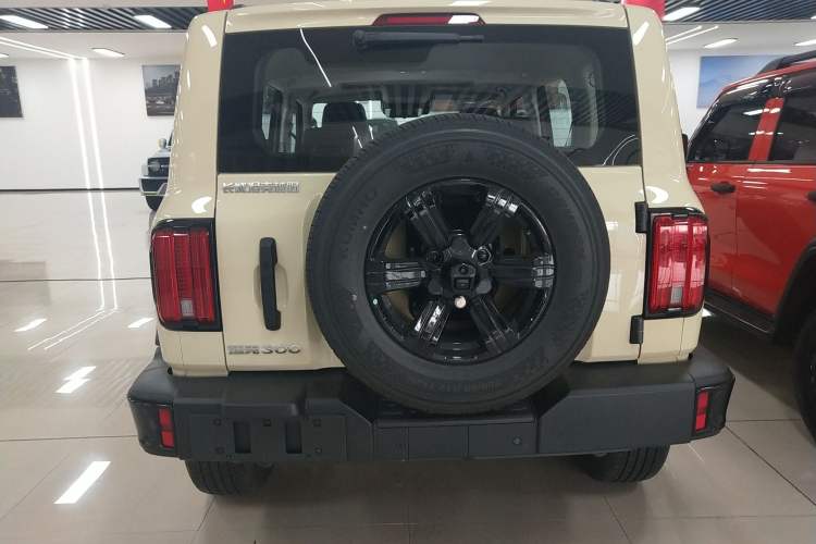 Used Tank 300 2025 2.0T Conqueror Rear