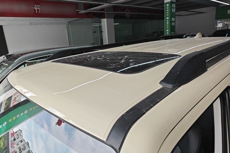 Used Tank 300 2025 2.0T Conqueror Roof