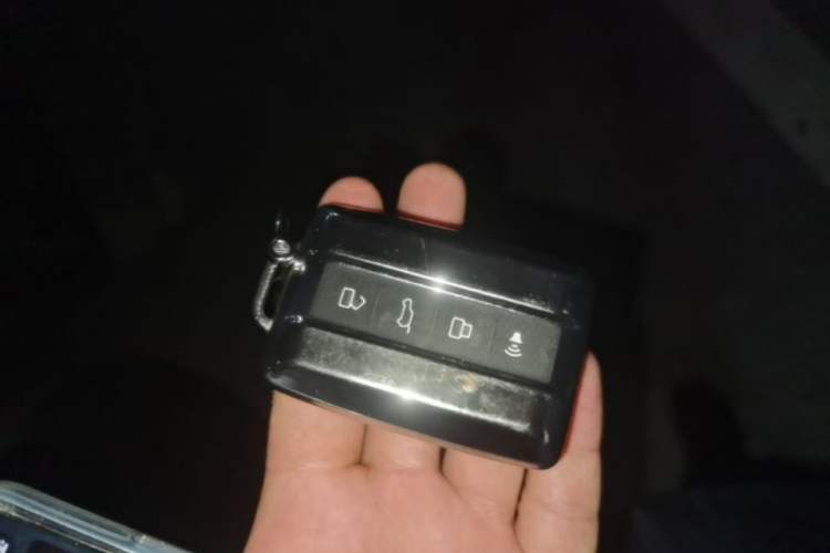 Used Tank 300 2025 2.0T Conqueror Vehicle Key