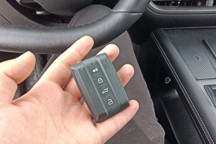 Used Tank 300 2025 Model, 2.0T Gasoline Polar Edition Vehicle Key