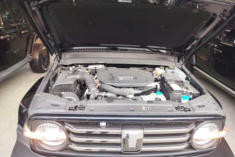 Used Tank 300 New Energy 2024 Hi4-T Engine Bay