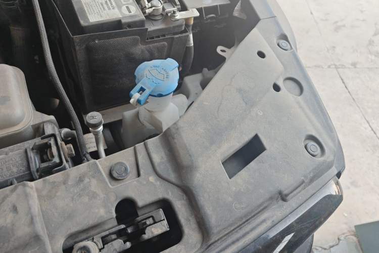 Used Tank 300 New Energy 2024 Hi4-T Engine Bay Left