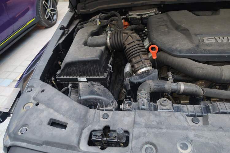 Used Tank 300 New Energy 2024 Hi4-T Engine Bay Right