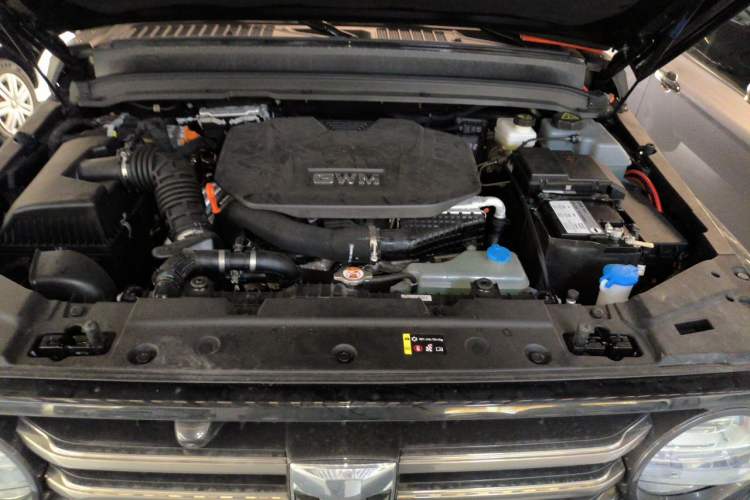 Used Tank 300 New Energy 2024 Hi4-T Engine Bay