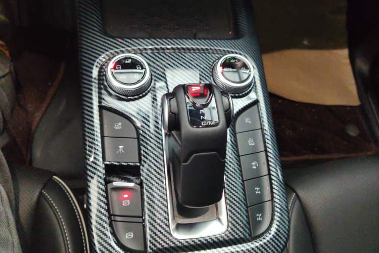 Used Tank 300 New Energy 2024 Hi4-T Gear Lever