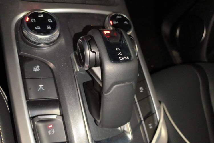 Used Tank 300 New Energy 2024 Hi4-T Gear Lever