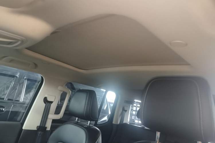 Used Tank 300 New Energy 2024 Hi4-T Headliner