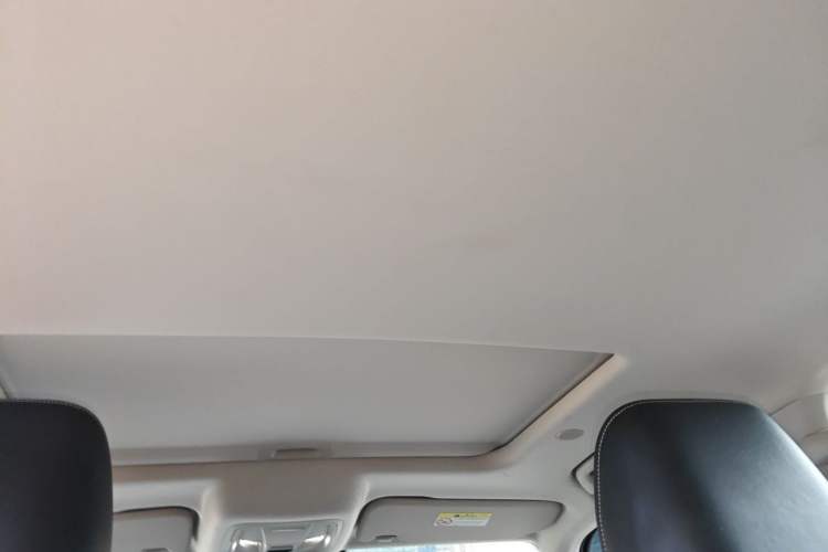 Used Tank 300 New Energy 2024 Hi4-T Headliner