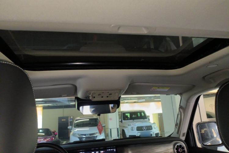 Used Tank 300 New Energy 2024 Hi4-T Headliner