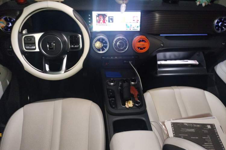 Used Tank 300 New Energy 2024 Hi4-T Center Console