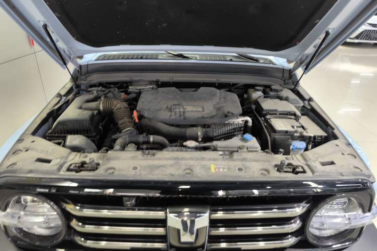 Used Tank 300 New Energy 2024 Hi4-T Engine Bay